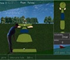 Play Flash Golf 3D